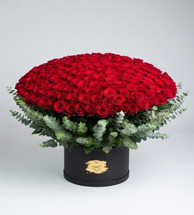 Roses